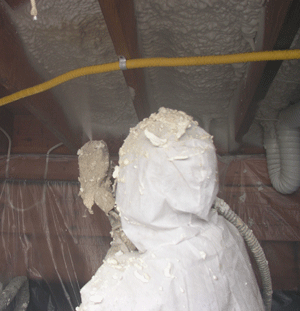 Toronto  crawl space insulation